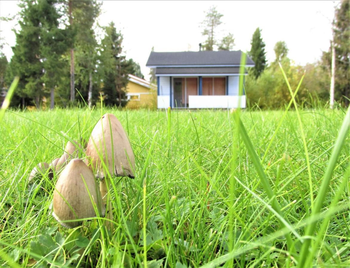 Scandinavian Dream Cottages Vikajarvi- Rovaniemi Экстерьер фото