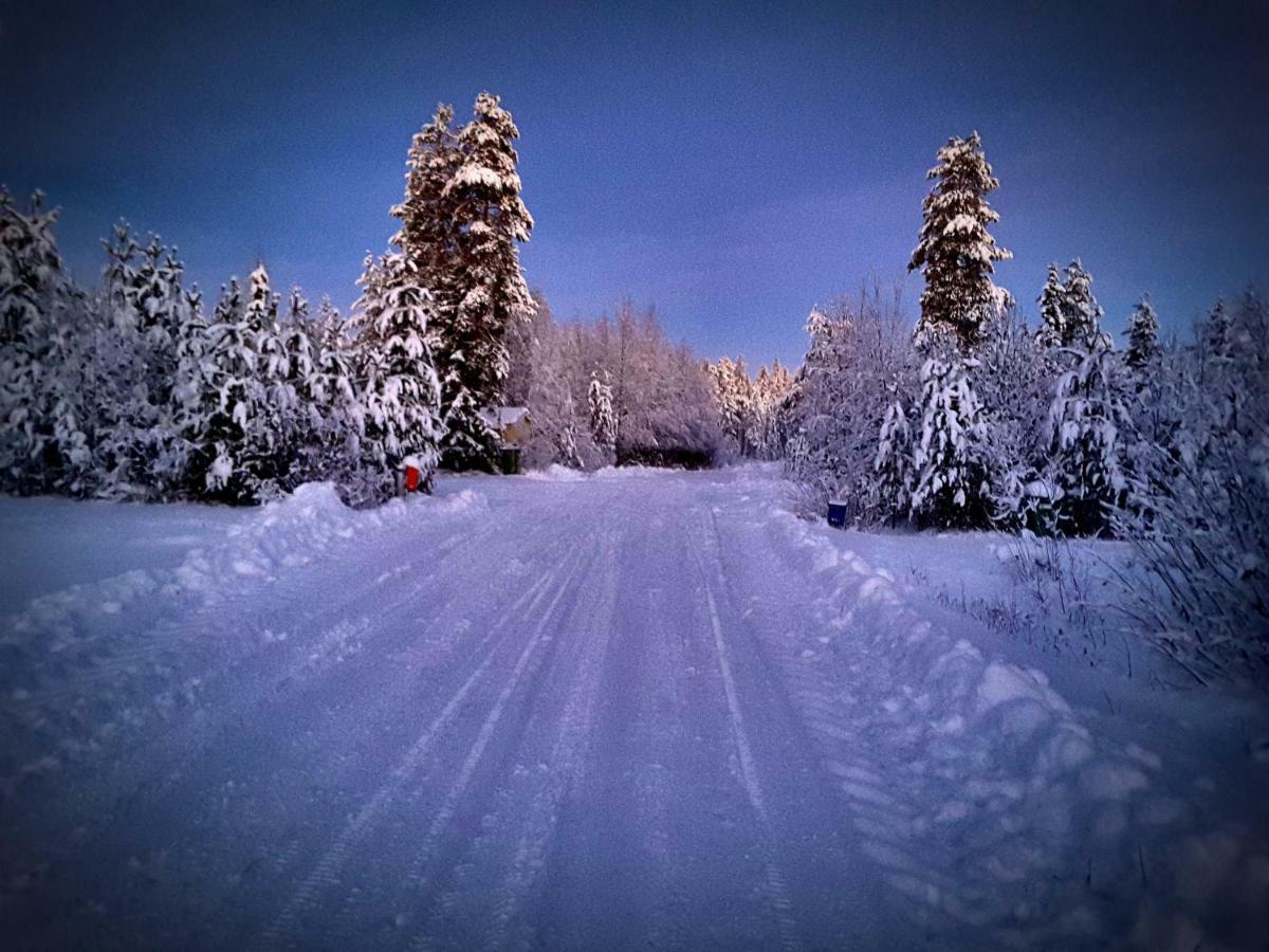 Scandinavian Dream Cottages Vikajarvi- Rovaniemi Экстерьер фото